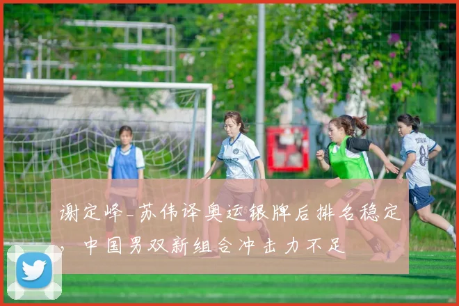 谢定峰_苏伟译奥运银牌后排名稳定，中国男双新组合冲击力不足